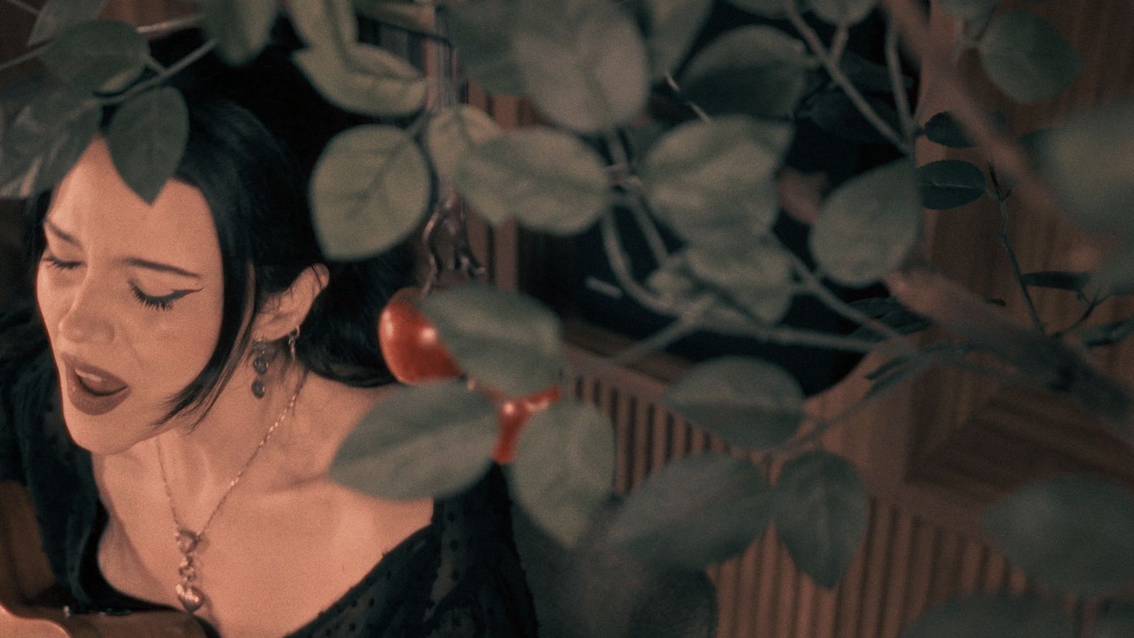 Only Holy Water (Acoustic) — still graded by Vertigo Color 3