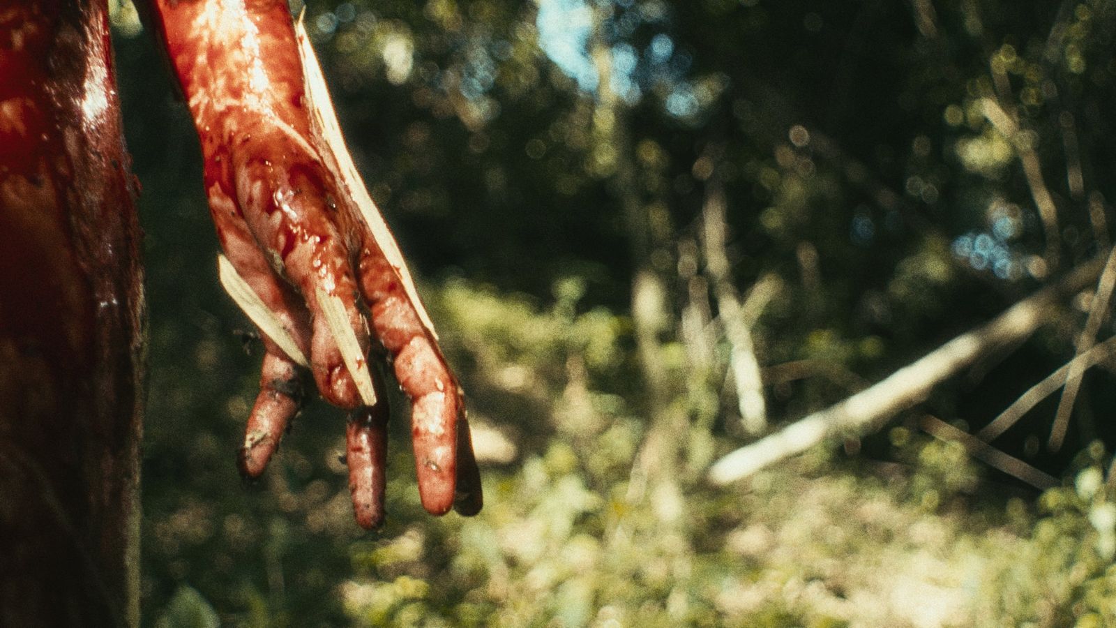 Taro / Blood, Milk and Sky — still graded by Vertigo Color